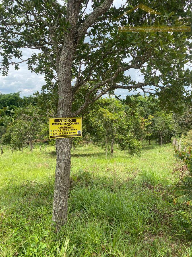 WhatsApp Image 2026-01-29 at 20.11.46.jpeg